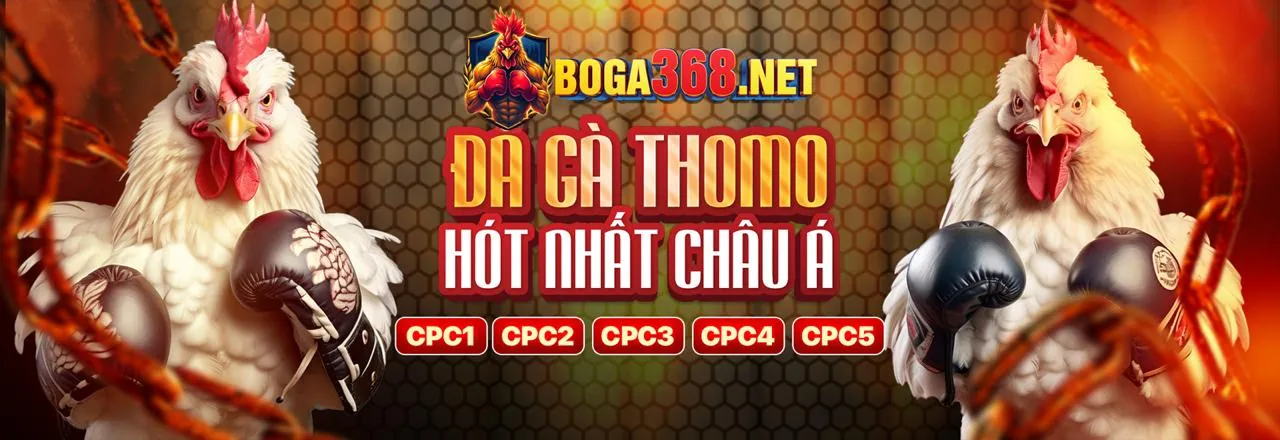 Điền thông tin vào biểu mẫu đăng ký 8vnd App